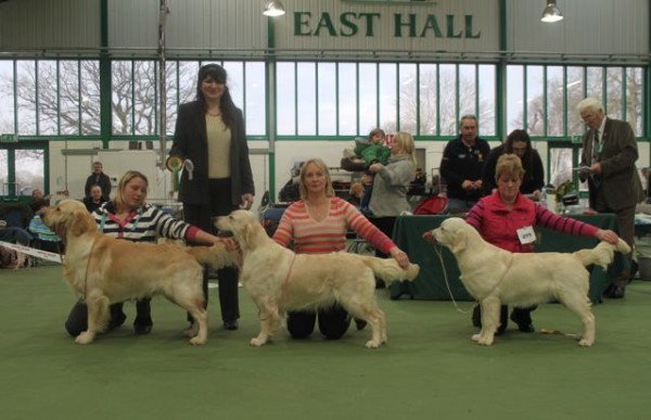 Stoneleigh Park Dog Show February Stoneleigh Park Dog Show February